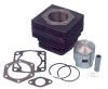 Top end overhaul kit. Includes cylinder, piston & rings, wrist pin, snap rings and gaskets. For E-Z-GO gas (2 cycle) 1980-88.